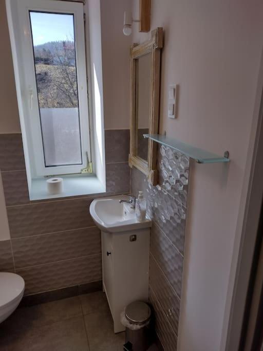 Sudety Hut 3 Apartment Podgorzyn Luaran gambar