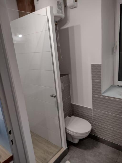 Sudety Hut 3 Apartment Podgorzyn Luaran gambar